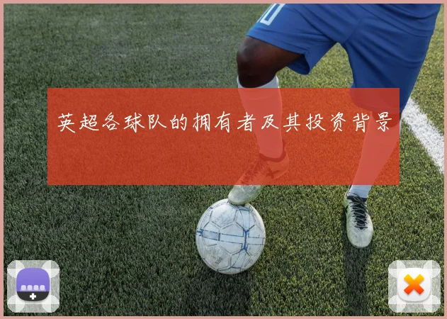 英超各球队的拥有者及其投资背景